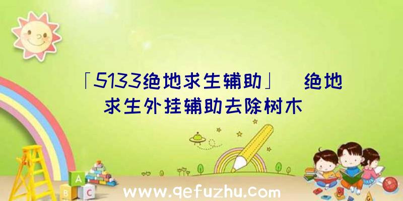 「5133绝地求生辅助」|绝地求生外挂辅助去除树木